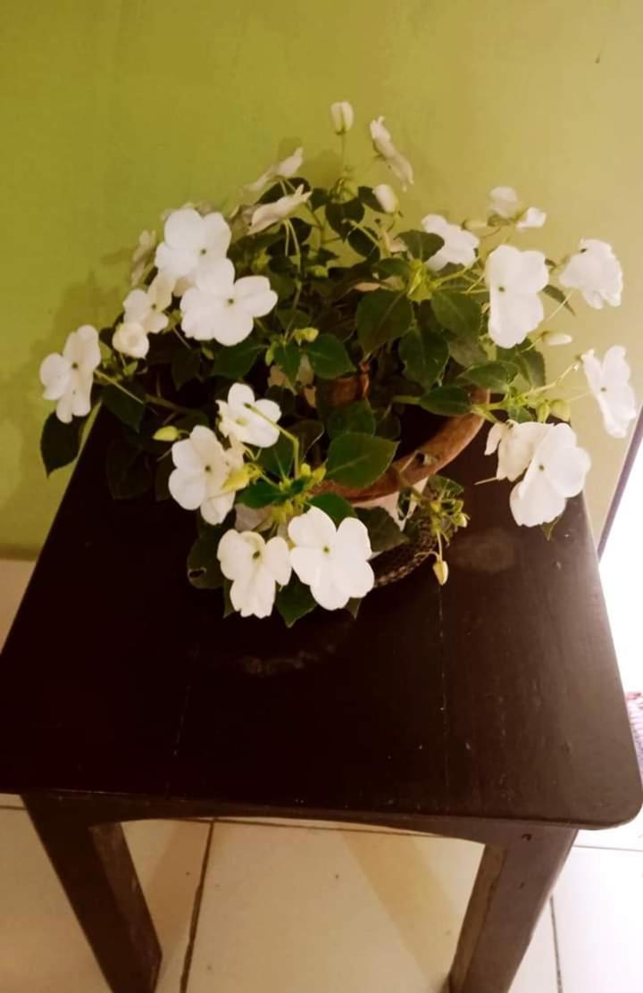 Bhoboghure Homestay Santiniketan Bolpur Εξωτερικό φωτογραφία