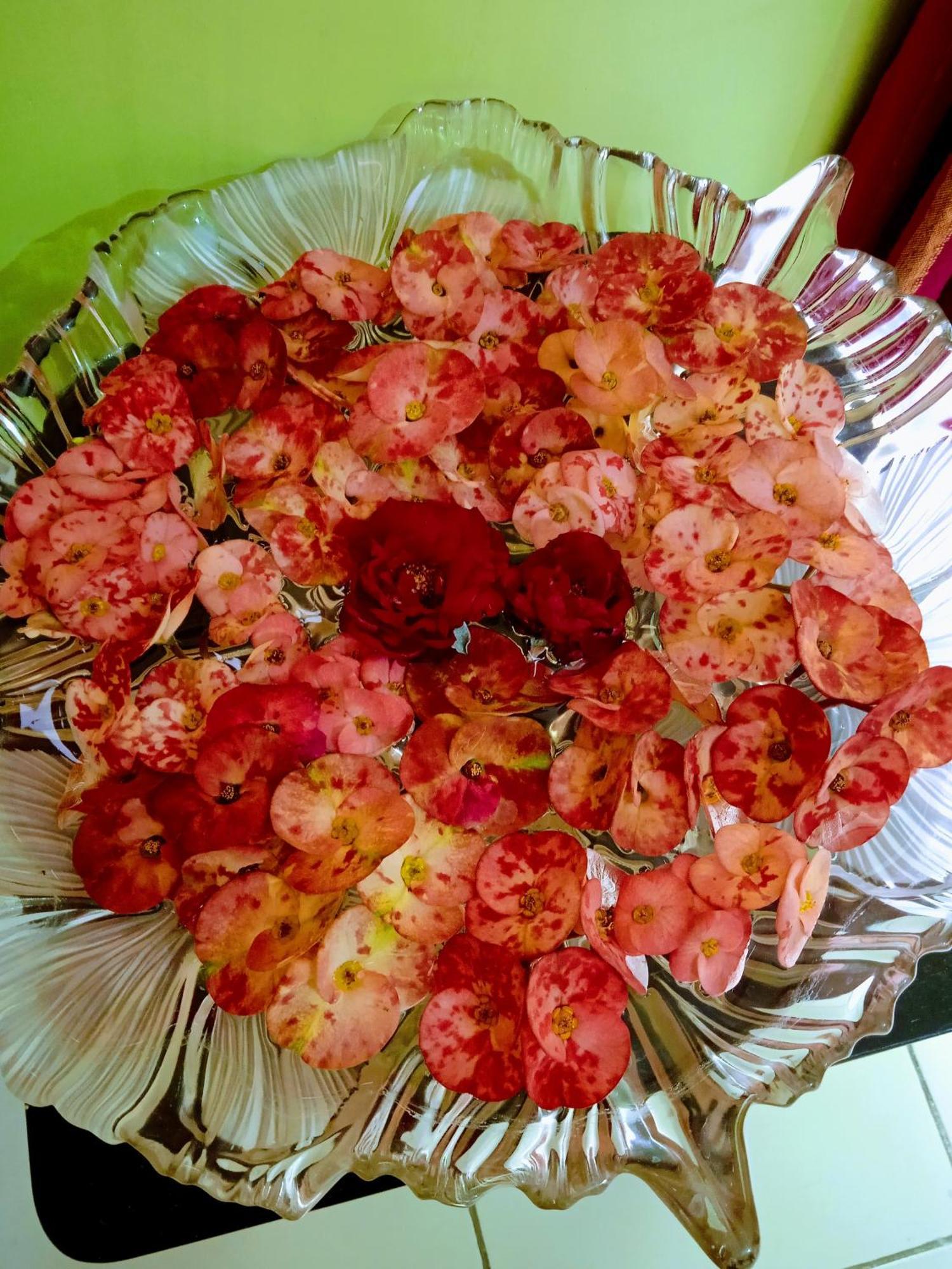 Bhoboghure Homestay Santiniketan Bolpur Εξωτερικό φωτογραφία