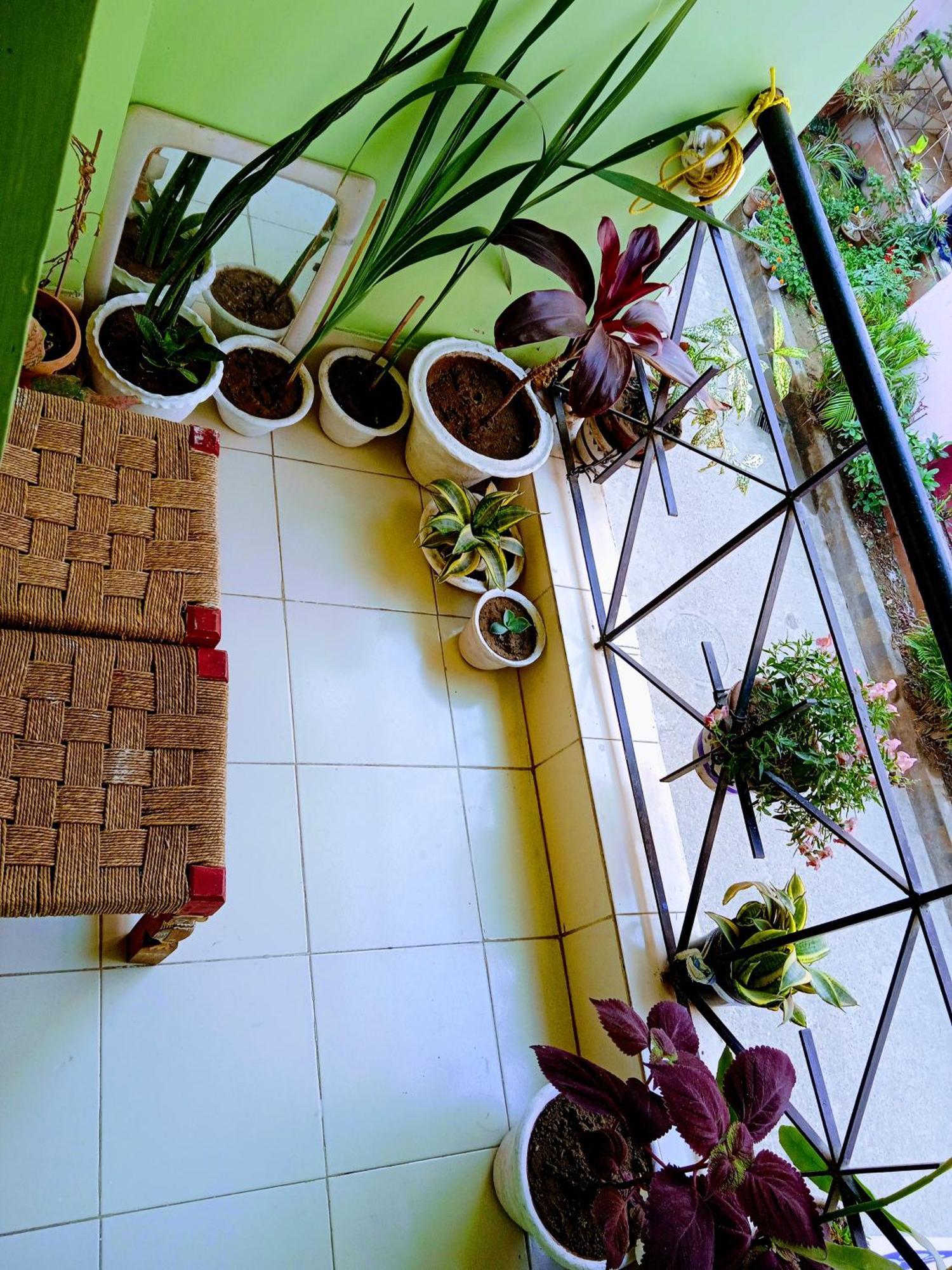 Bhoboghure Homestay Santiniketan Bolpur Εξωτερικό φωτογραφία